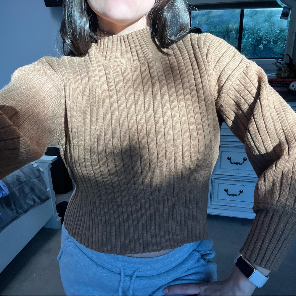 🔥 3/$15 Brown Ribbed Cropped Turtleneck Sweater 🐻🤎